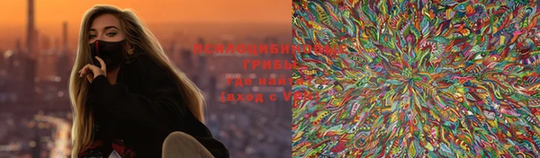 амф Верея