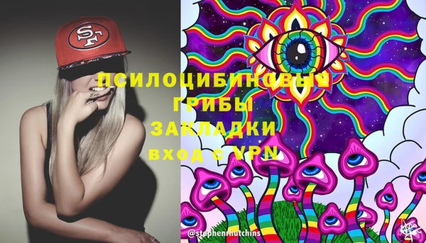 стафф Бронницы
